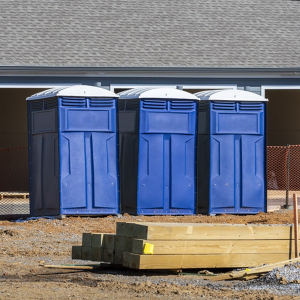 do you offer wheelchair accessible porta potties for rent in Wild Horse CO